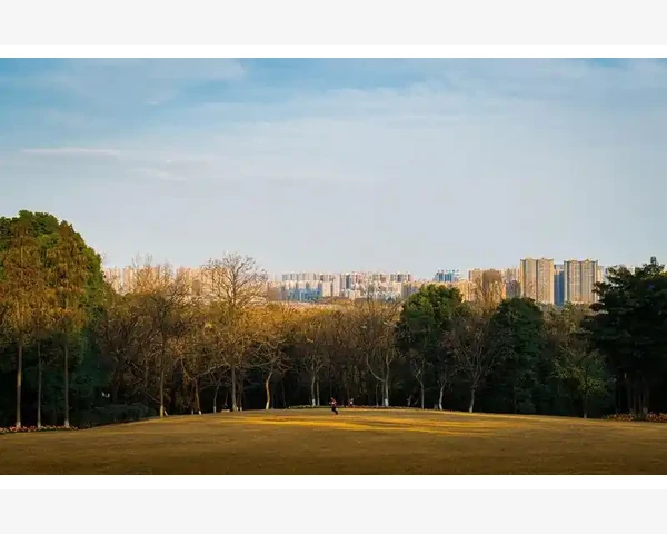 小孩眼袋浮肿是脾胃不好吗？