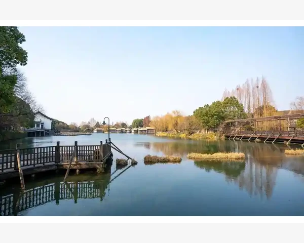 得了肺癌，怎么化痰？常见的中医方法介绍
